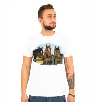 Obrázek 1 produktu Pánské tričko Tři Koně Mrkev Prosím