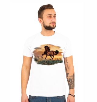 Obrázek 1 produktu Pánské tričko Kůň Hnědák Anglický Plnokrevník