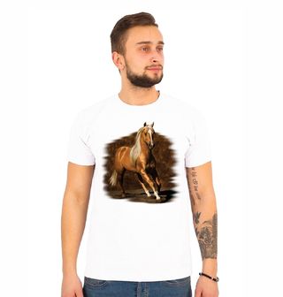 Obrázek 1 produktu Pánské tričko Kůň Ryzák Golden Boy