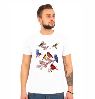 Obrázek 1 produktu Pánské tričko Ptáčci Pěvci