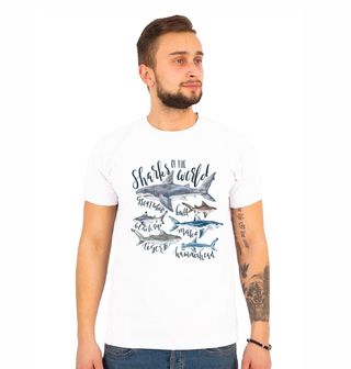 Obrázek 1 produktu Pánské tričko Žraločí seskupení 
