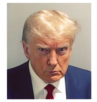 Obrázek 2 produktu Pánské tričko Prezident Donald Trump ve vazbě Mugshot