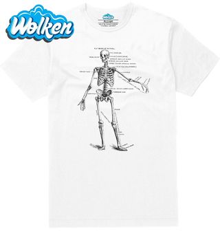 Pánské tričko  Anatomie kostlivce Anatomy of  Skeleton.jpg