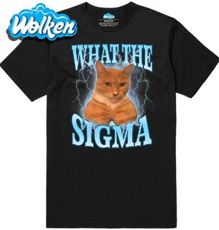 Pánské tričko Sigma Kočka What the Sigma Cat.jpg