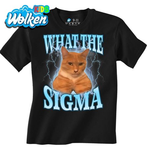 Obrázek produktu Dětské tričko Sigma Kočka What the Sigma Cat?