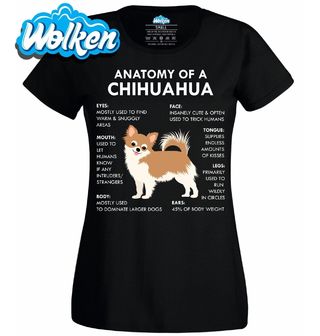 Dámské tričko Popis Čivavy Anatomy of a Chihuahua.jpg
