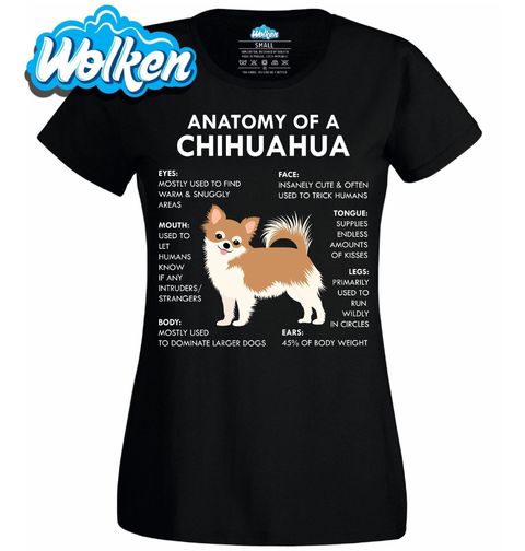 Obrázek produktu Dámské tričko Popis Čivavy Anatomy of a Chihuahua