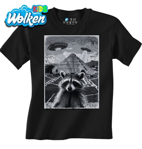 Obrázek produktu Dětské tričko Mýval a Tajemství Pyramid