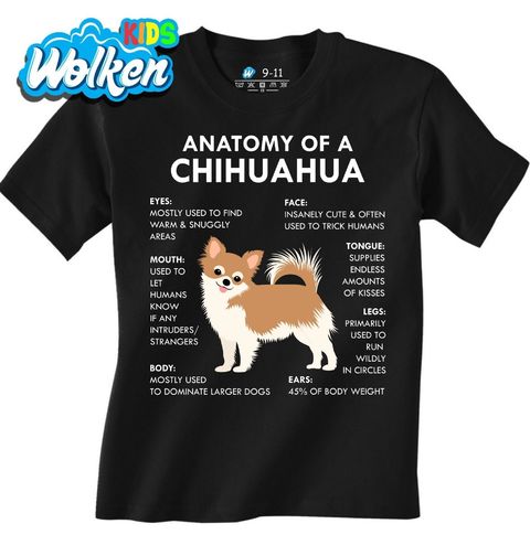 Obrázek produktu Dětské tričko Popis Čivavy Anatomy of a Chihuahua