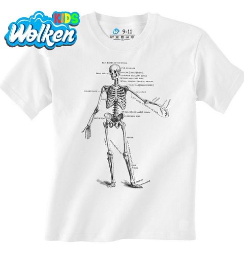 Obrázek produktu Dětské tričko Anatomie kostlivce Anatomy of  Skeleton
