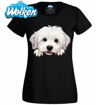 Dámské tričko Zvědavý Coton de Tulear.jpg