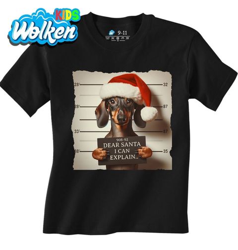 Obrázek produktu Dětské tričko Santo, já to vysvětlím! Jezevčík Busted