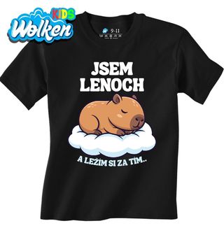 Dětské tričko Jsem lenoch a ležím si za tím.jpg