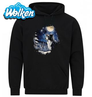 Mikina Border kolie v Zasněženém Lese.jpg