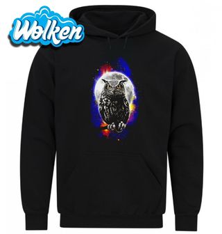 Mikina Sova v Záři Měsíce.jpg