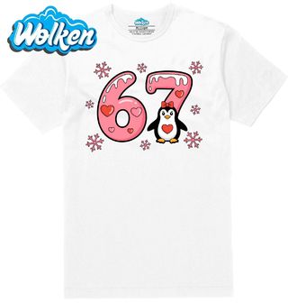 Pánské tričko  Zimní Tučňák 67 Six Seven Meme.jpg