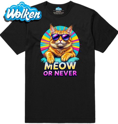 Obrázek produktu Pánské tričko Kočka v Brýlích Meow or Never