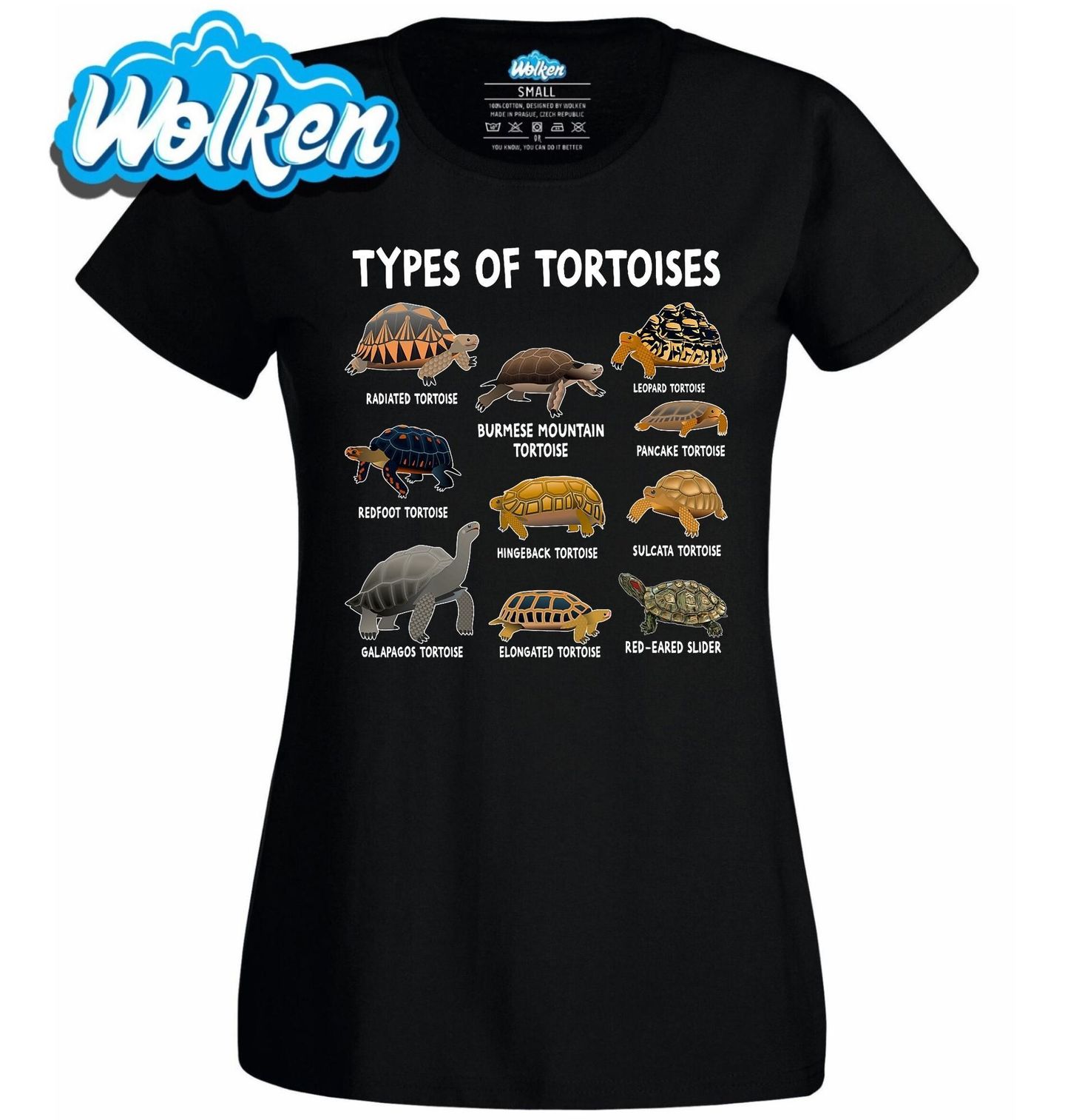 Dámské tričko Druhy Želv Types of Tortoises.jpg