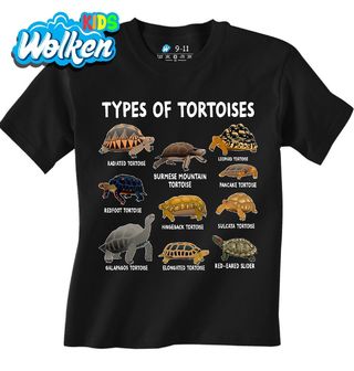 Dětské tričko Druhy Želv Types of Tortoises.jpg