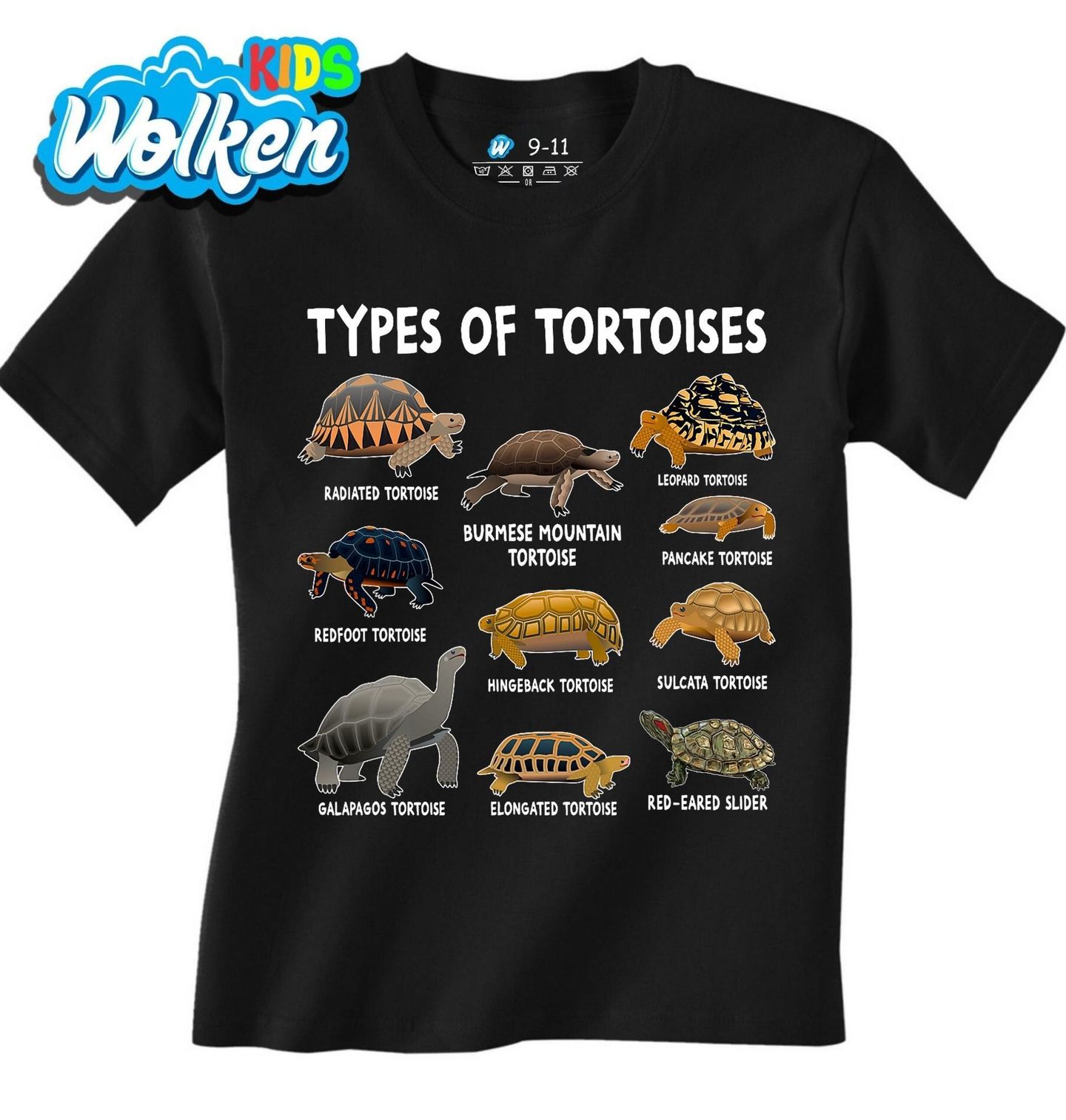 Dětské tričko Druhy Želv Types of Tortoises.jpg