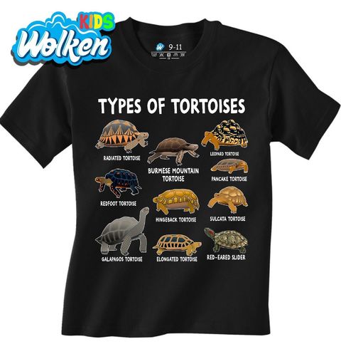 Obrázek produktu Dětské tričko Druhy Želv Types of Tortoises