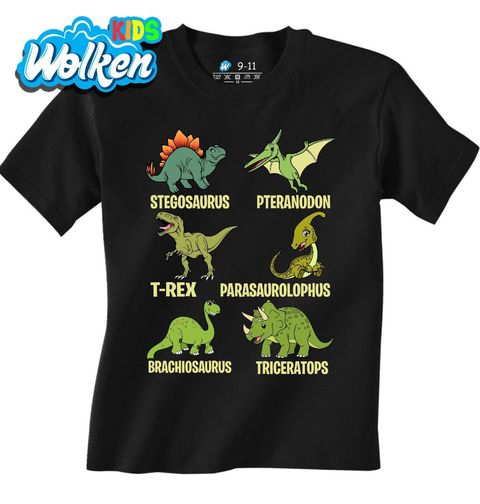 Obrázek produktu Dětské tričko Druhy Pravěkých Dinosaurů