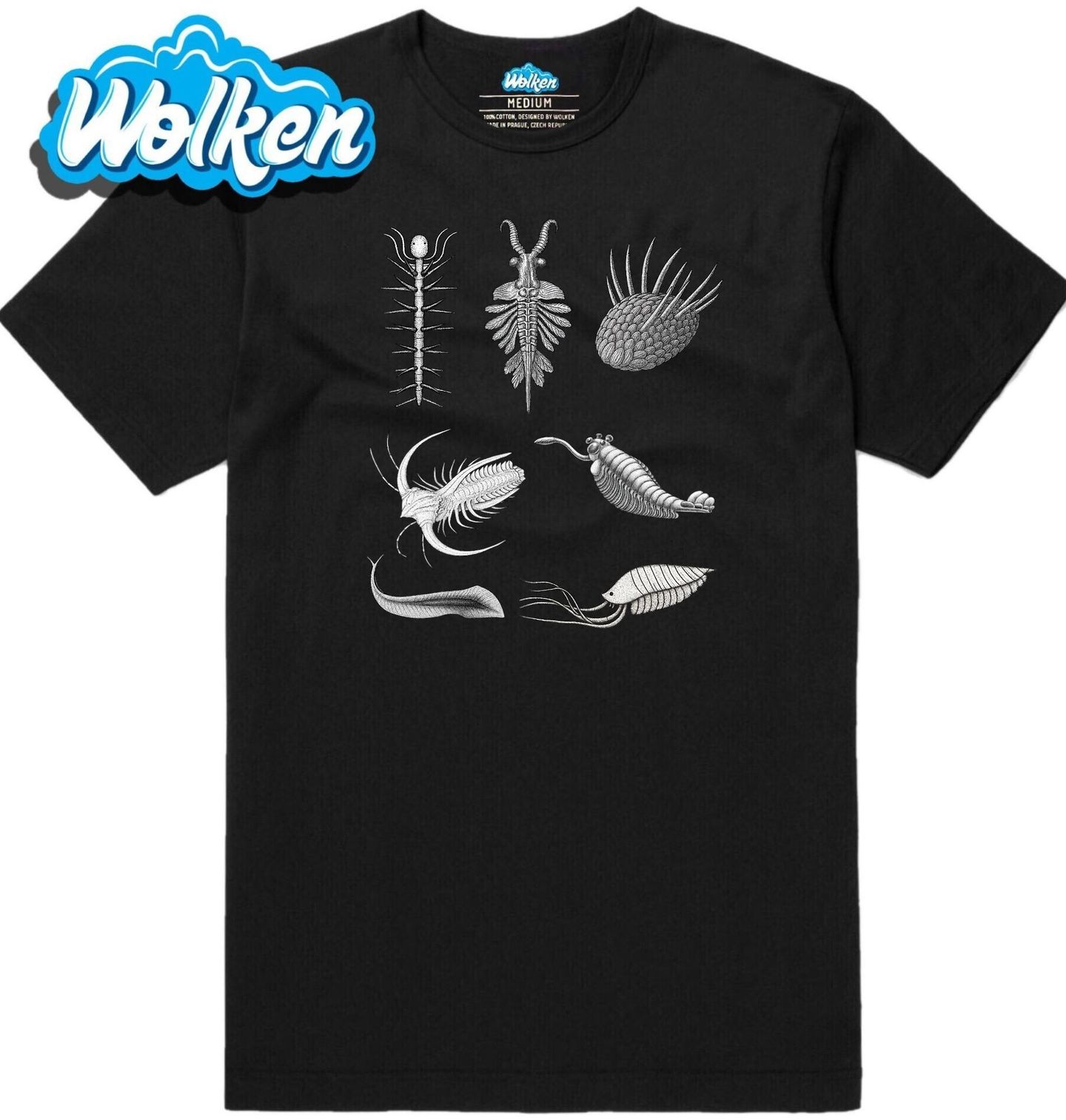 Pánské tričko Kambrické Fosílie.jpg