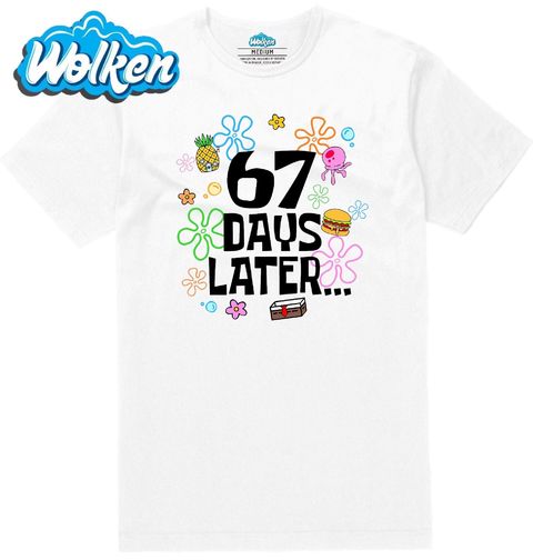 Obrázek produktu Pánské tričko 67 dní poté… Bublinkový přechod 67 Days Later Six Seven Meme