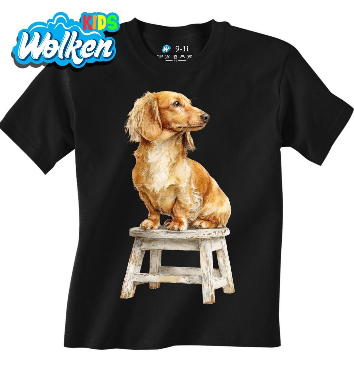 Dětské tričko Pózující Jezevčík na Stoličce.jpg