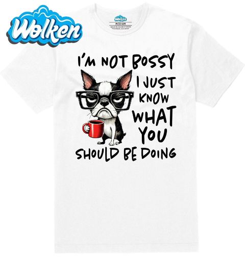 Obrázek produktu Pánské tričko Bostonský teriér Nešéfuju, jen vím, co bys měl dělat
