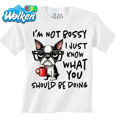 Obrázek produktu Dětské tričko Bostonský teriér Nešéfuju, jen vím, co bys měl dělat
