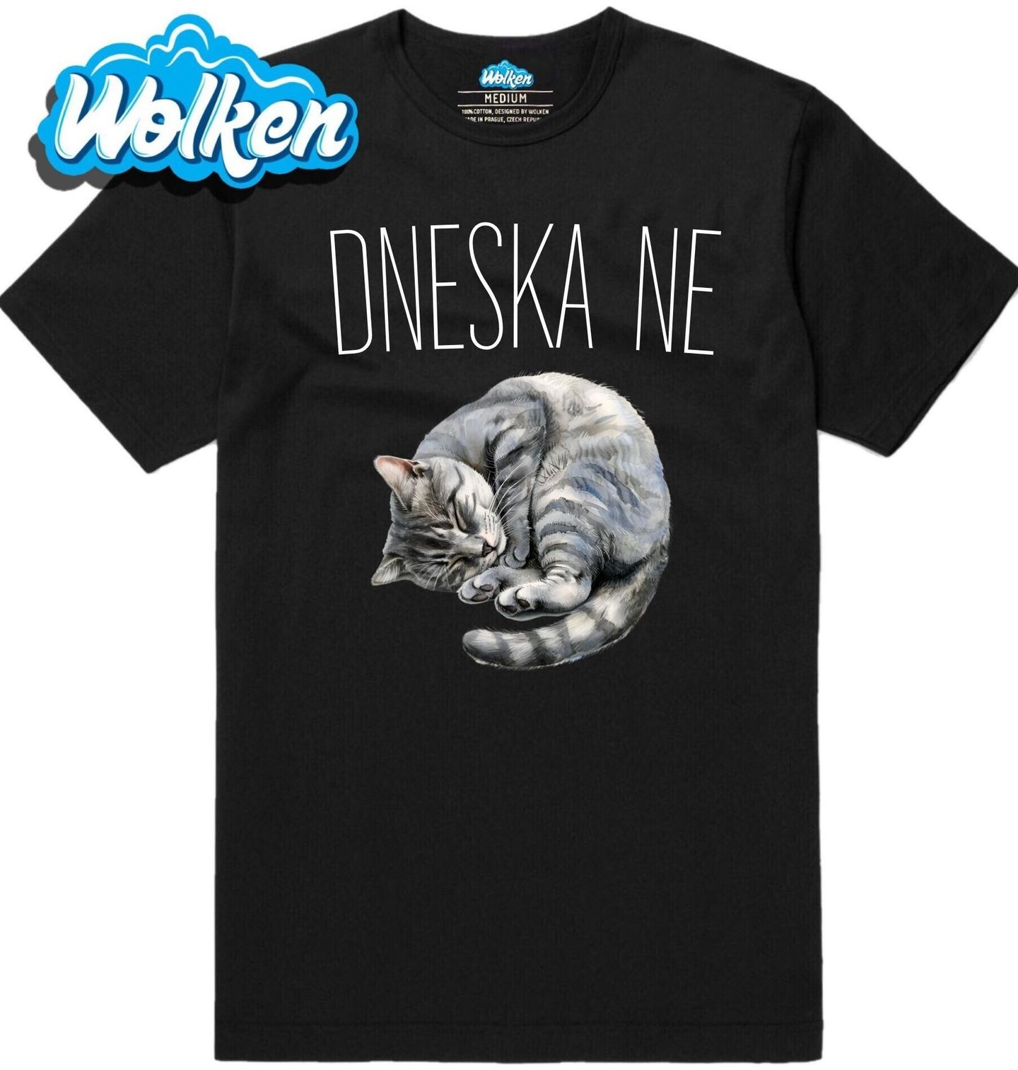 Pánské tričko Spící Kočka Dneska ne.jpg