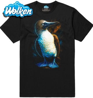 Pánské tričko Terej modronohý.jpg