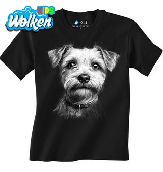 Dětské tričko Norfolský teriér Skica.jpg