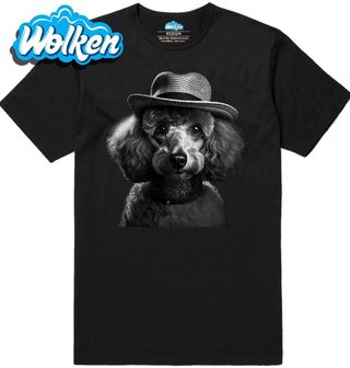 Pánské tričko Pudl v Klobouku.jpg