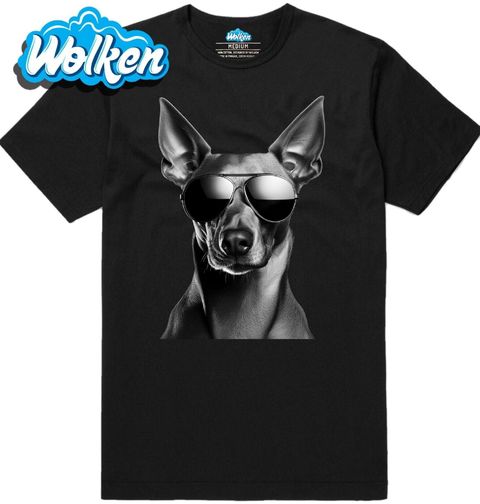 Obrázek produktu Pánské tričko Faraonský pes s Brýlemi