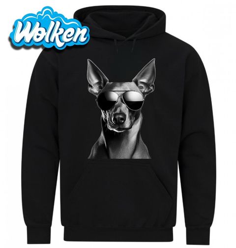 Obrázek produktu Pánská mikina Faraonský pes s Brýlemi