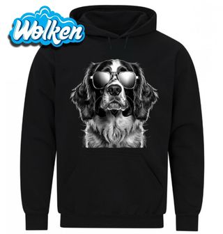 Mikina Bretaňský ohař v Brýlích.jpg