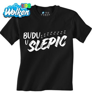 Dětské tričko Budu u Slepic.jpg