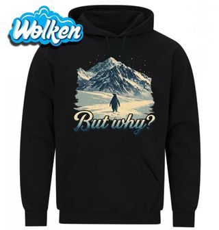 Mikina Osamělý Tučňák But Why.jpg