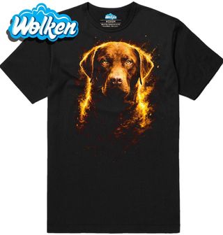 Pánské tričko Hnědý Labradorský retrívr.jpg