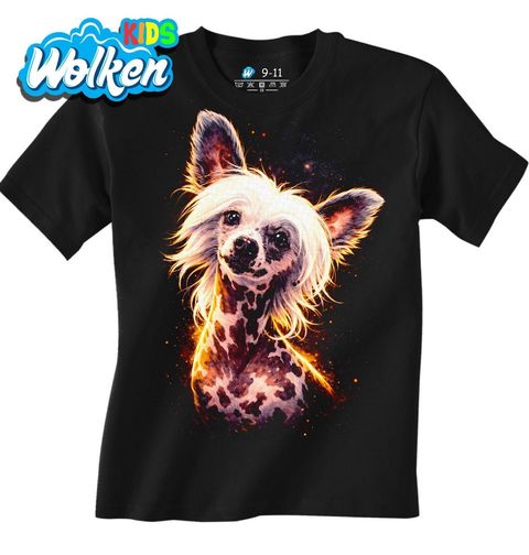 Obrázek produktu Dětské tričko Bezsrstý Čínský chocholatý pes