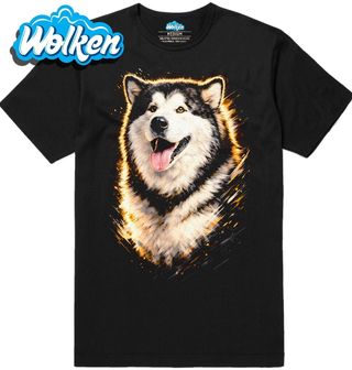 Pánské tričko Aljašský malamut Alaskan Malamute.jpg