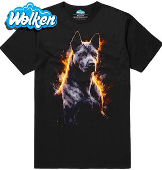 Pánské tričko Thajský ridgeback.jpg