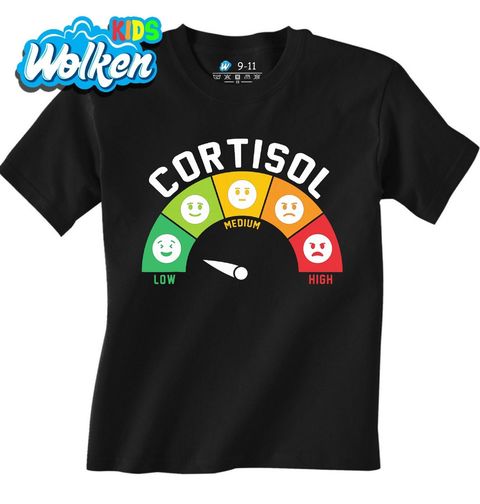 Obrázek produktu Dětské tričko Cortisol a Nálada