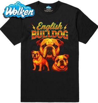 Pánské tričko Anglický Buldok English Bulldog.jpg