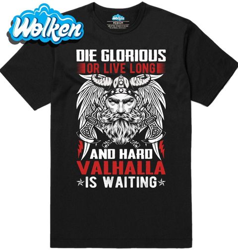 Obrázek produktu Pánské tričko Viking Sláva nebo Valhalla