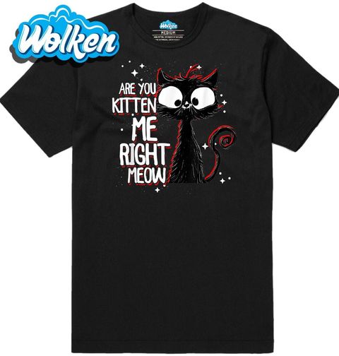 Obrázek produktu Pánské tričko To Myslíš Vážně Mňau