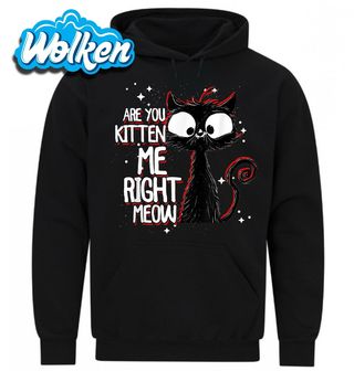 Mikina To Myslíš Vážně Mňau.jpg