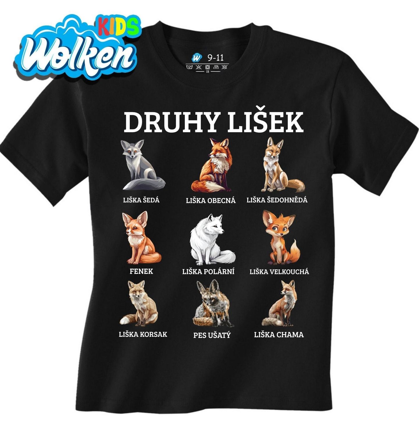 Dětské tričko Druhy Lišek.jpg